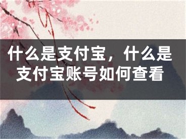 什么是支付宝，什么是支付宝账号如何查看