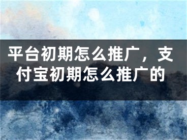 平台初期怎么推广，支付宝初期怎么推广的