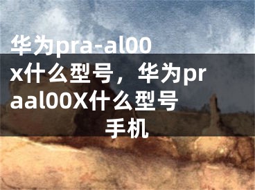 华为pra-al00x什么型号，华为praal00X什么型号手机