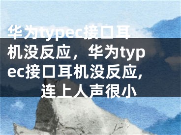 华为typec接口耳机没反应，华为typec接口耳机没反应,连上人声很小