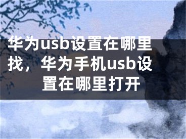 华为usb设置在哪里找，华为手机usb设置在哪里打开