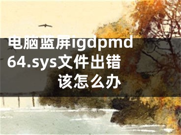 电脑蓝屏igdpmd64.sys文件出错该怎么办