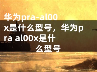 华为pra-al00x是什么型号，华为pra al00x是什么型号