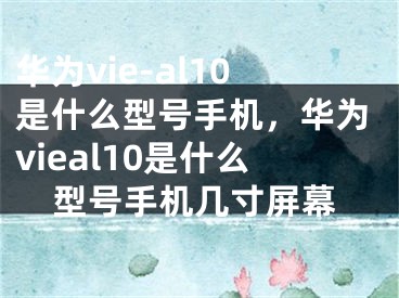 华为vie-al10是什么型号手机，华为vieal10是什么型号手机几寸屏幕