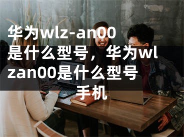 华为wlz-an00是什么型号，华为wlzan00是什么型号手机