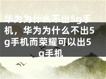 华为为什么不出5g手机，华为为什么不出5g手机而荣耀可以出5g手机