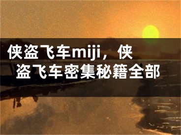 侠盗飞车miji，侠盗飞车密集秘籍全部