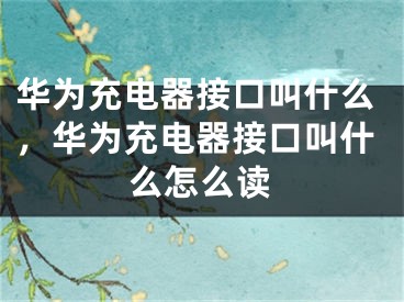 华为充电器接口叫什么，华为充电器接口叫什么怎么读