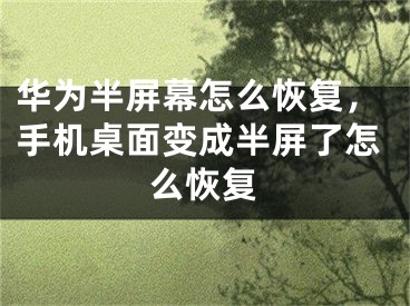 华为半屏幕怎么恢复，手机桌面变成半屏了怎么恢复