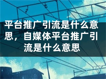 平台推广引流是什么意思，自媒体平台推广引流是什么意思