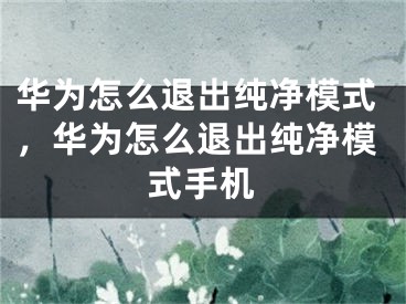 华为怎么退出纯净模式，华为怎么退出纯净模式手机