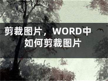 剪裁图片，WORD中如何剪裁图片 