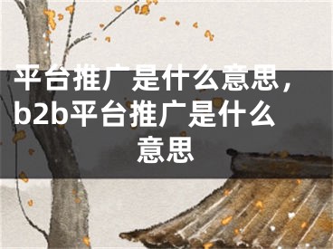 平台推广是什么意思，b2b平台推广是什么意思