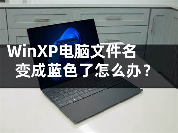 WinXP电脑文件名变成蓝色了怎么办？