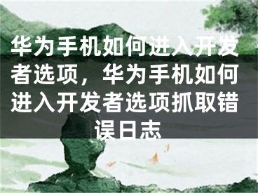 华为手机如何进入开发者选项，华为手机如何进入开发者选项抓取错误日志