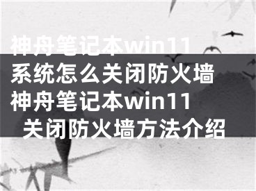 神舟笔记本win11系统怎么关闭防火墙 神舟笔记本win11关闭防火墙方法介绍