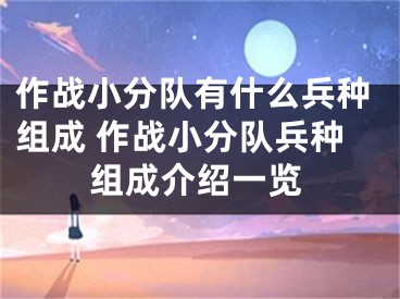 作战小分队有什么兵种组成 作战小分队兵种组成介绍一览