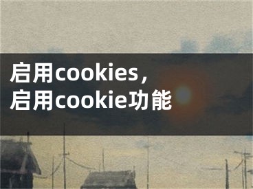 启用cookies，启用cookie功能