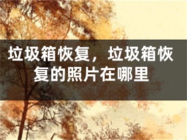 垃圾箱恢复，垃圾箱恢复的照片在哪里