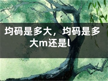 均码是多大，均码是多大m还是l