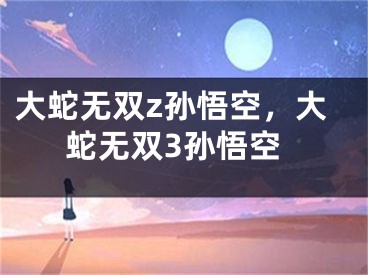 大蛇无双z孙悟空，大蛇无双3孙悟空