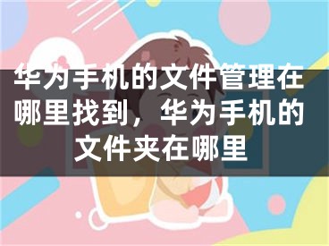 华为手机的文件管理在哪里找到，华为手机的文件夹在哪里