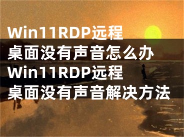 Win11RDP远程桌面没有声音怎么办 Win11RDP远程桌面没有声音解决方法