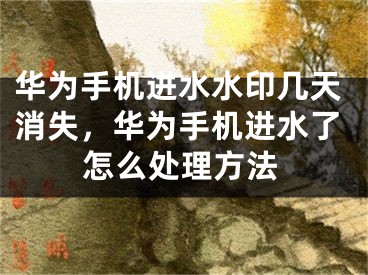 华为手机进水水印几天消失，华为手机进水了怎么处理方法