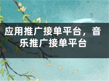 应用推广接单平台，音乐推广接单平台