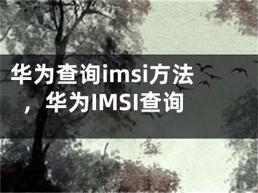 华为查询imsi方法，华为IMSI查询