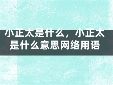 小正太是什么，小正太是什么意思网络用语