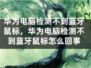 华为电脑检测不到蓝牙鼠标，华为电脑检测不到蓝牙鼠标怎么回事
