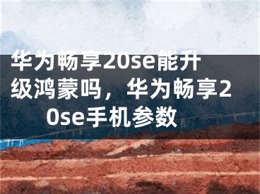 华为畅享20se能升级鸿蒙吗，华为畅享20se手机参数