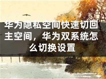 华为隐私空间快速切回主空间，华为双系统怎么切换设置