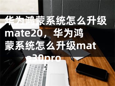 华为鸿蒙系统怎么升级mate20，华为鸿蒙系统怎么升级mate30pro