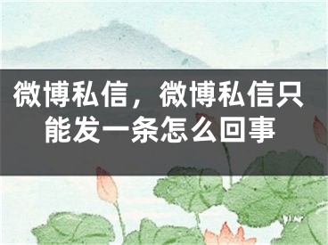 微博私信，微博私信只能发一条怎么回事