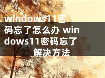 windows11密码忘了怎么办 windows11密码忘了解决方法