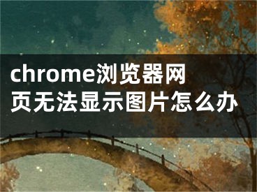 chrome浏览器网页无法显示图片怎么办