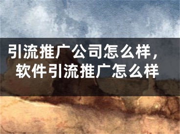 引流推广公司怎么样，软件引流推广怎么样