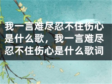 我一言难尽忍不住伤心是什么歌，我一言难尽忍不住伤心是什么歌词