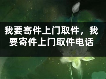 我要寄件上门取件，我要寄件上门取件电话