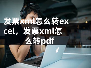 发票xml怎么转excel，发票xml怎么转pdf