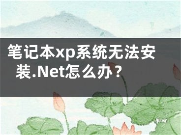 笔记本xp系统无法安装.Net怎么办？