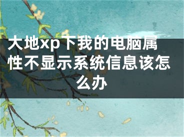 大地xp下我的电脑属性不显示系统信息该怎么办