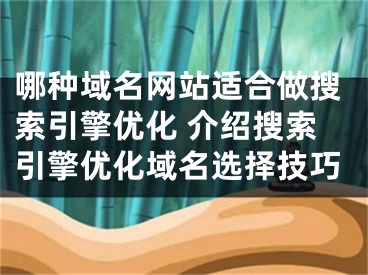 哪种域名网站适合做搜索引擎优化 介绍搜索引擎优化域名选择技巧