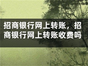 招商银行网上转账，招商银行网上转账收费吗