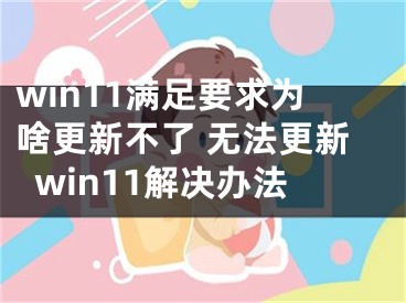 win11满足要求为啥更新不了 无法更新win11解决办法