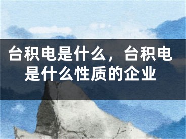 台积电是什么，台积电是什么性质的企业