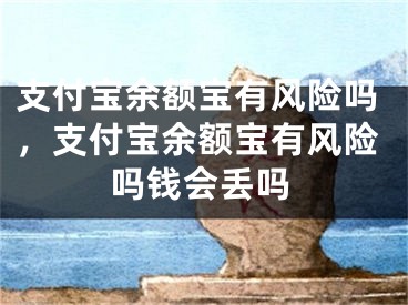 支付宝余额宝有风险吗，支付宝余额宝有风险吗钱会丢吗