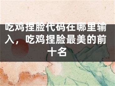 吃鸡捏脸代码在哪里输入，吃鸡捏脸最美的前十名